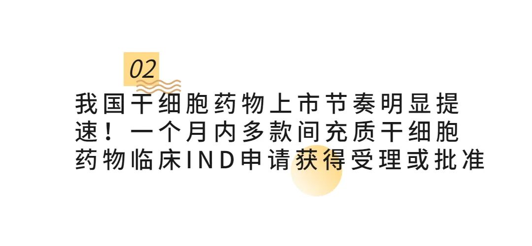 干细胞储存 干细胞储存