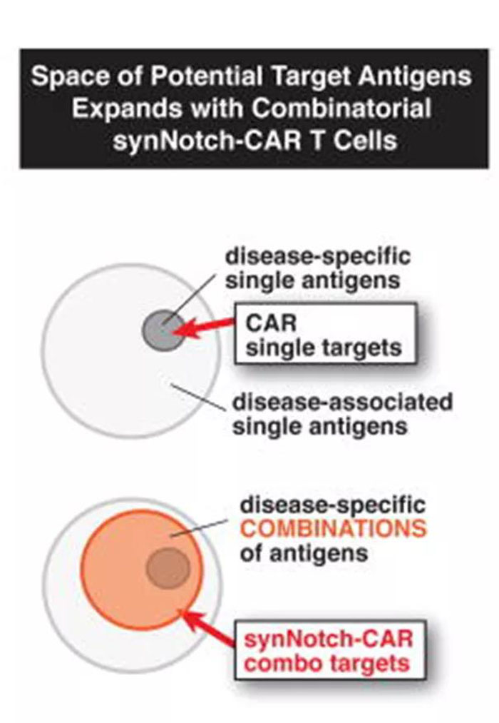 微信图片_20200612094609 微信图片_20200612094609
