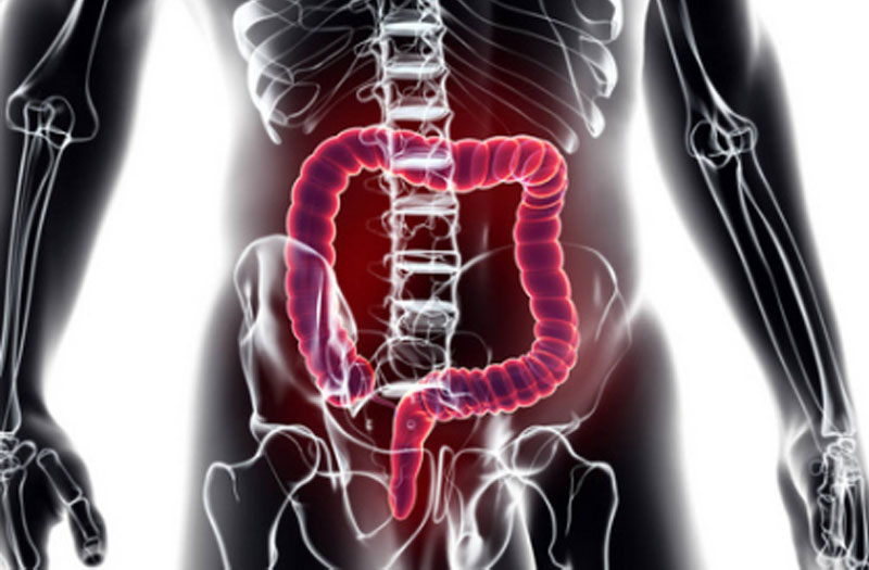 免疫细胞储存 免疫细胞储存