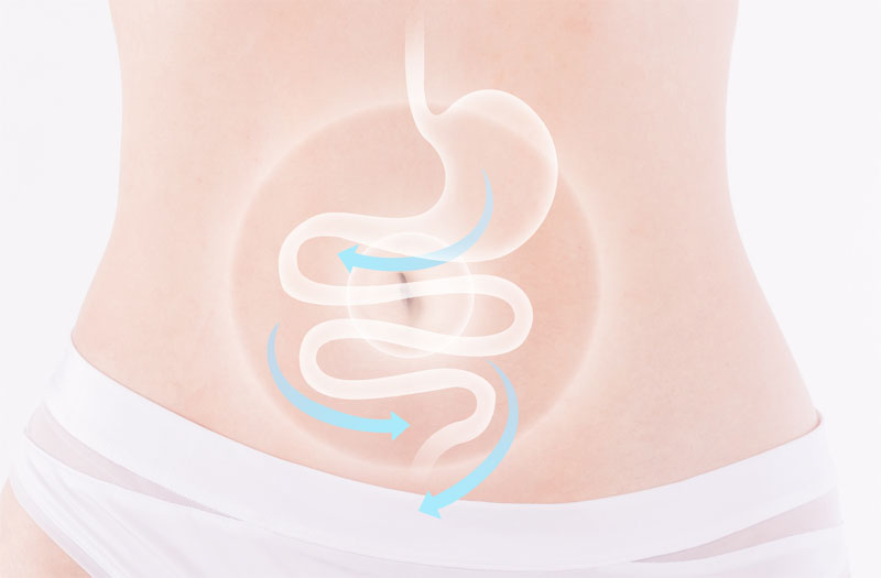 细胞储存 细胞储存