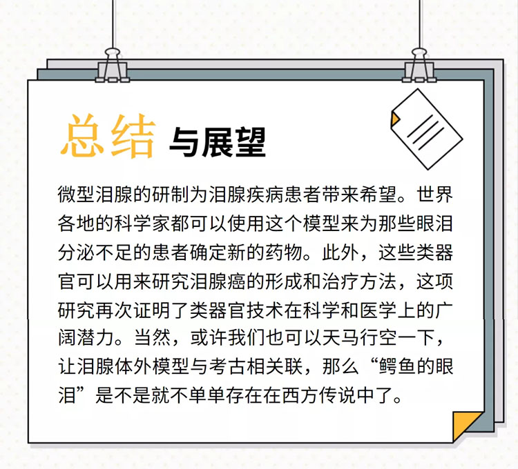 自体脂肪干细胞储存 自体脂肪干细胞储存
