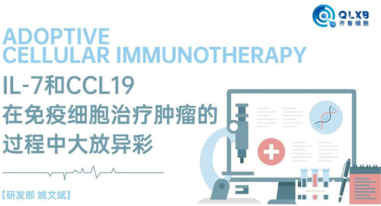 储存免疫细胞 储存免疫细胞