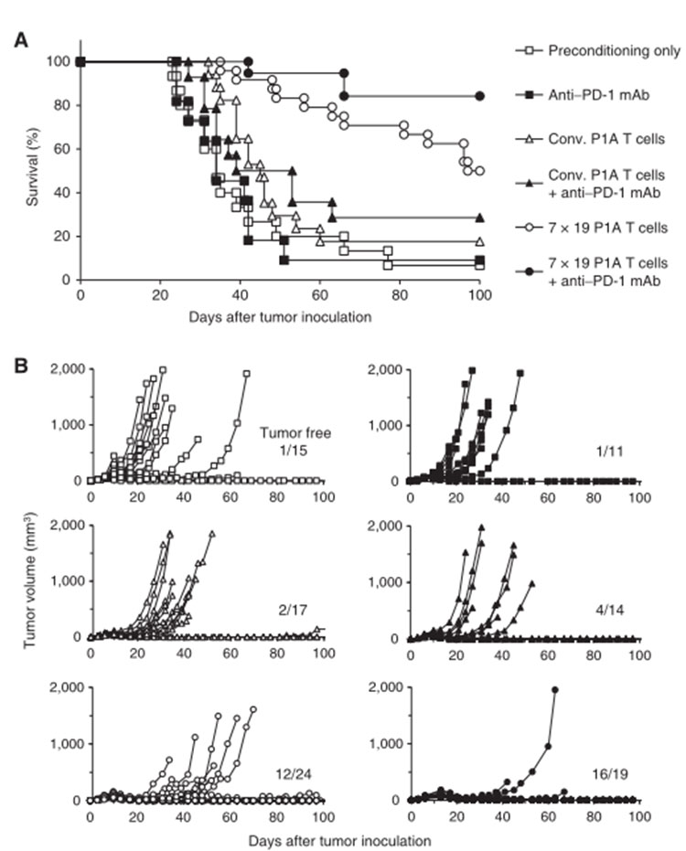 储存免疫细胞 储存免疫细胞