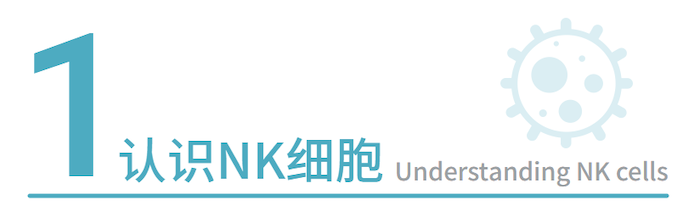 储存细胞 储存细胞