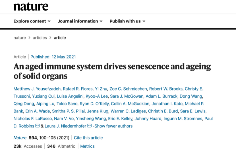 新利体育平台首页登录入口
