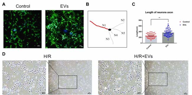 微信图片_20200518085421