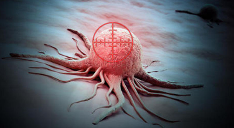 新利体育平台首页登录入口