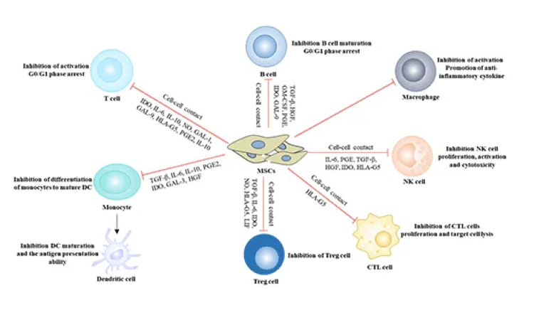 新利体育平台首页登录入口