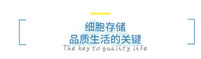 新利体育平台首页登录入口